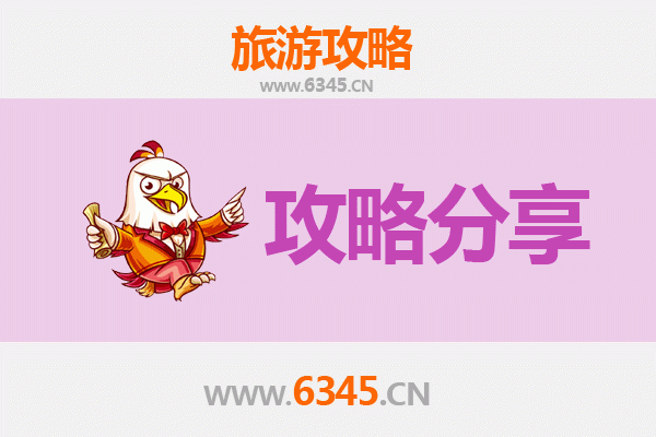 柳州融水至湄洲岛旅游攻略：跟团还是自由行？资深博主深度解析